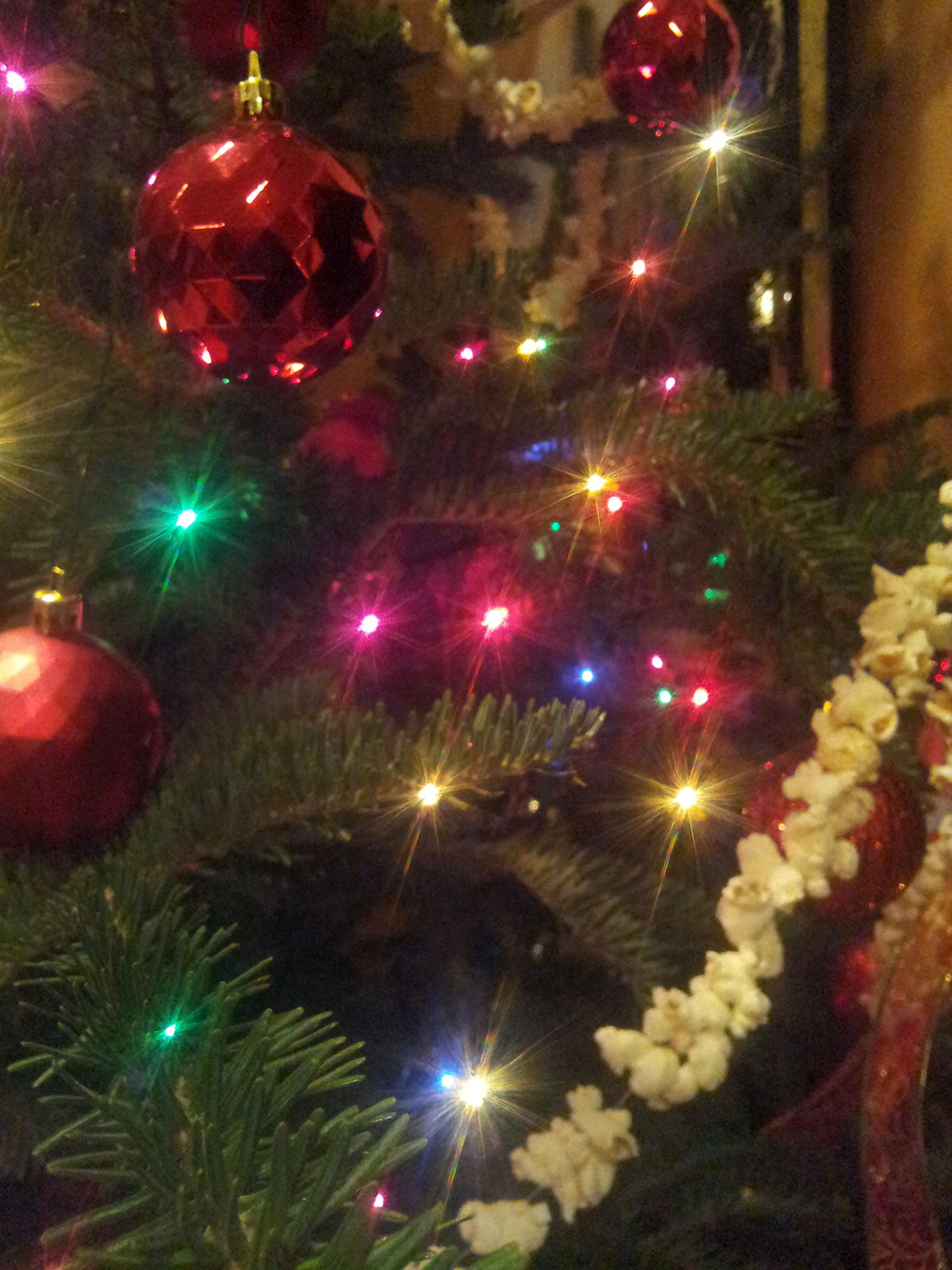 NEWFOUNDLAND CHRISTMAS LORE & LURE