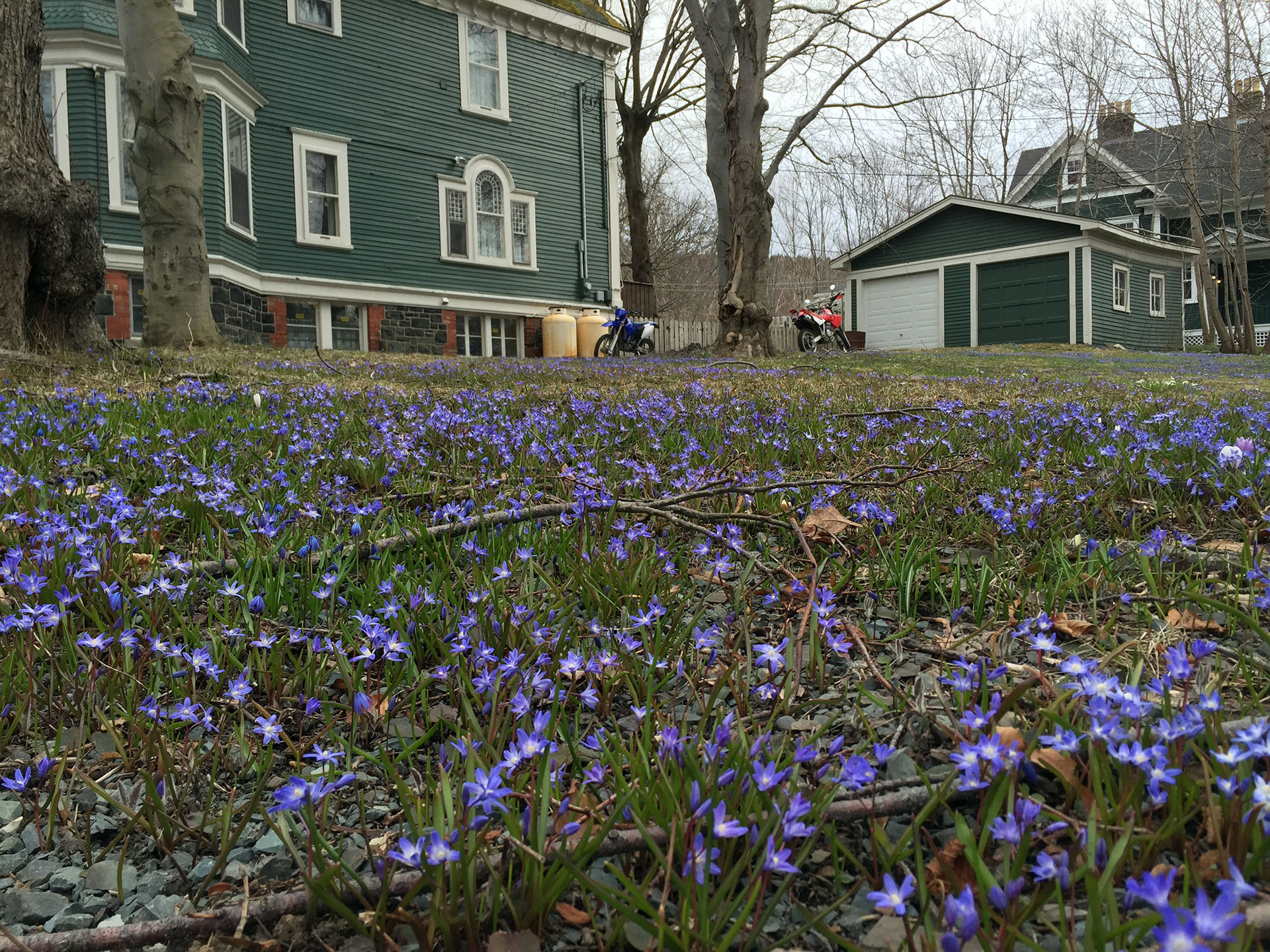 SPRING SPRANG SPRUNG