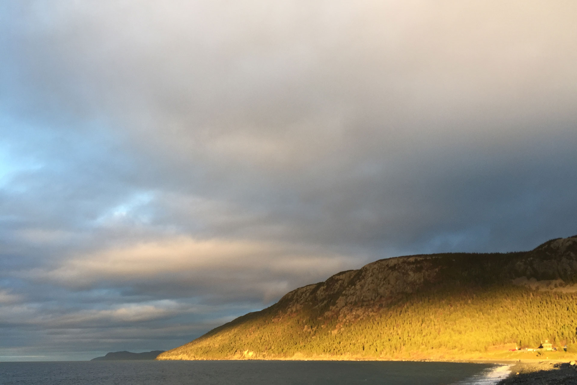 ANOTHER DAY IN PARADISE