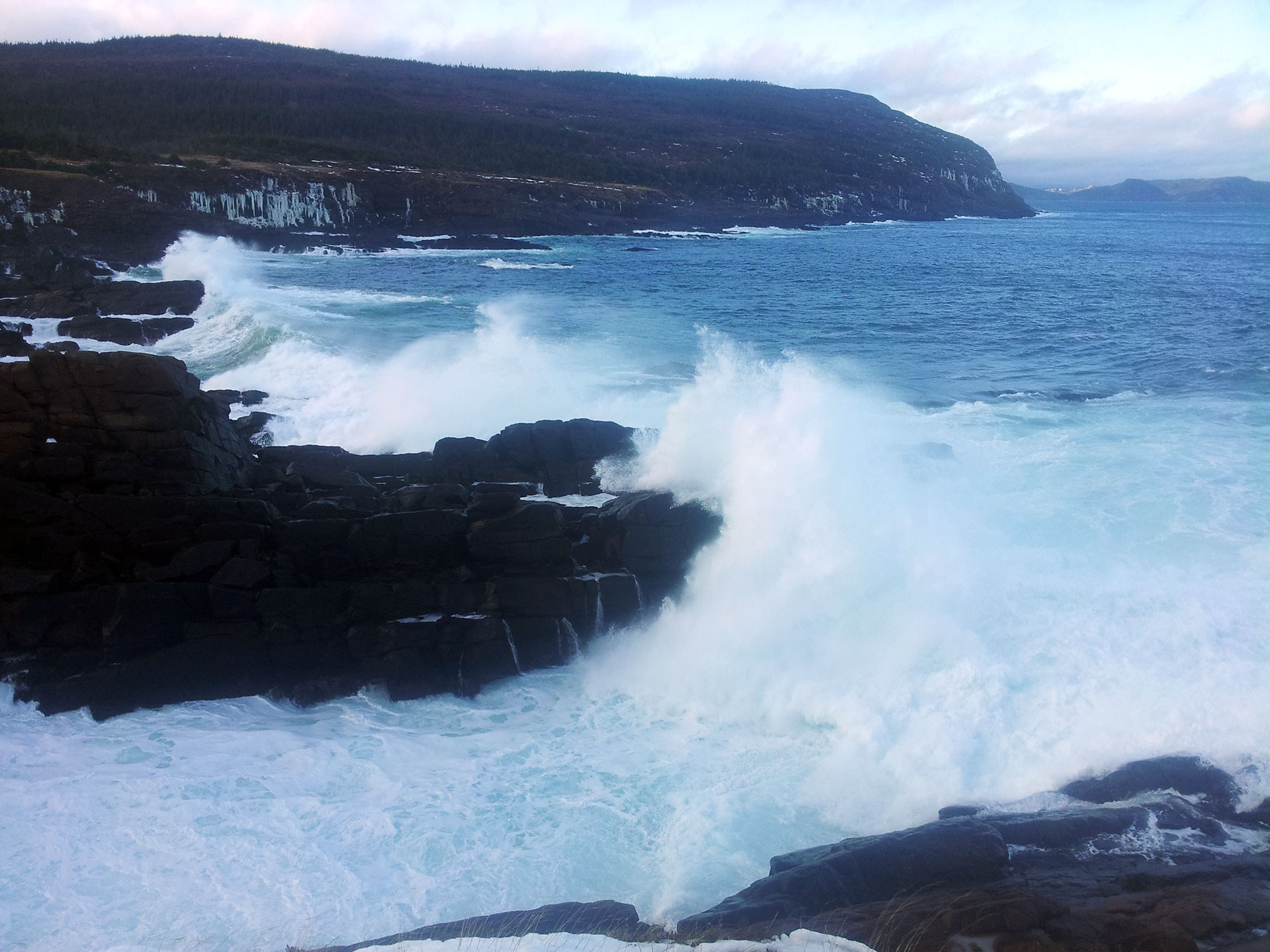 YANKED INTO THE NEW YEAR