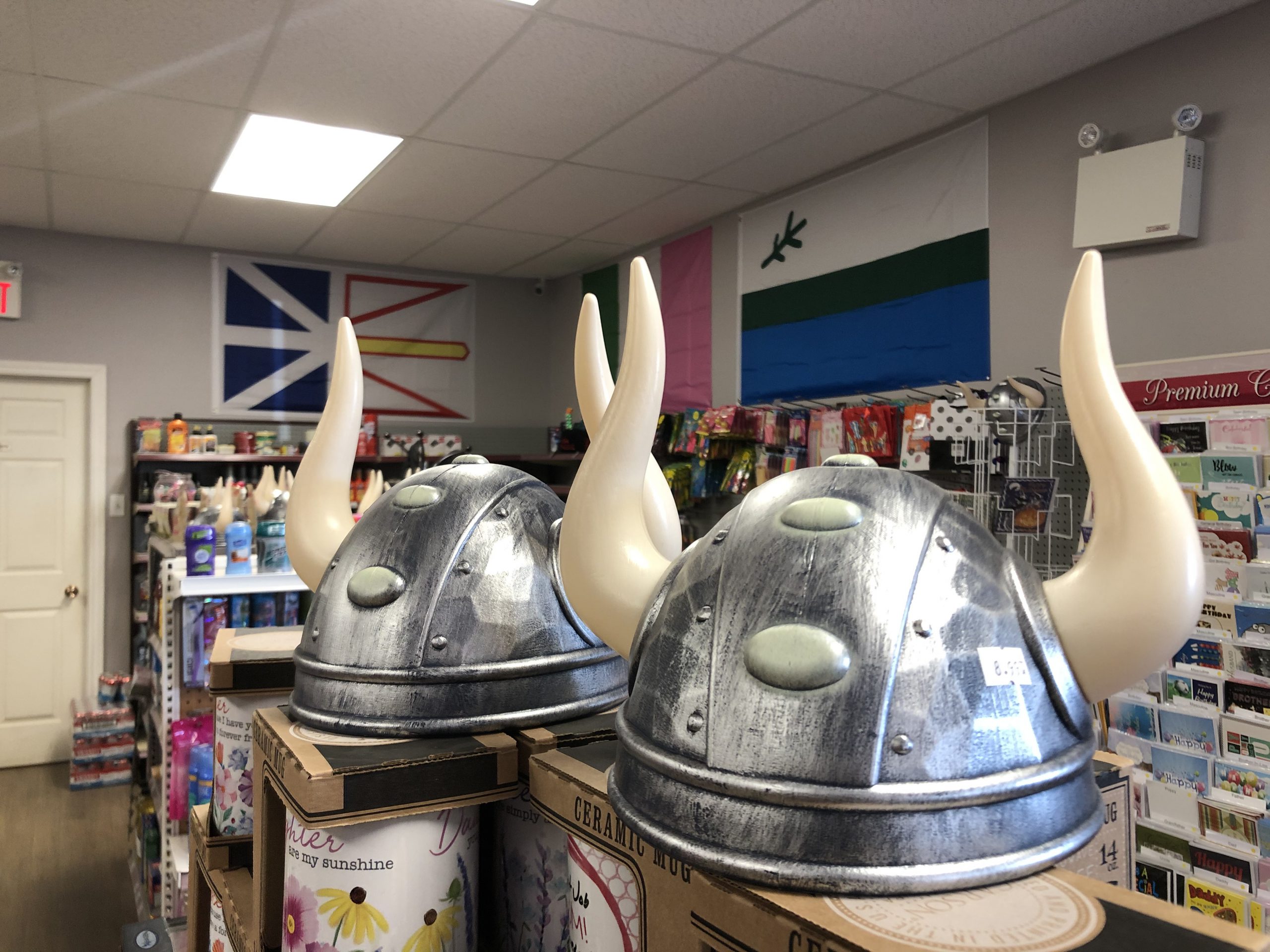 VIKINGS -VS- RAIDERS